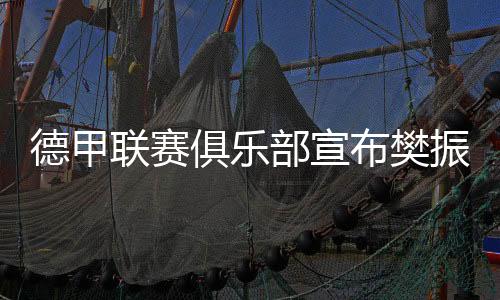 奥运冠军樊振东加盟