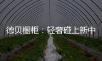 德贝橱柜
：轻奢碰上新中式 缔造专属的优雅
