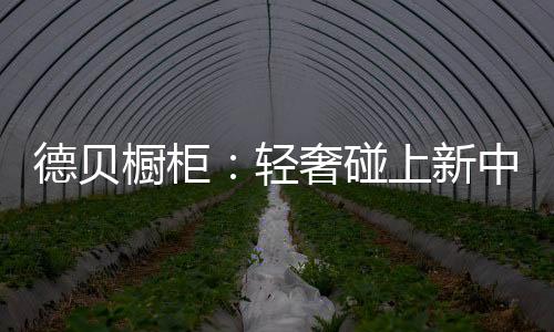 相信专业的德贝力量