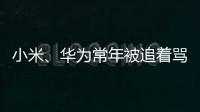 小米、华为常年被追着骂�？前魅族高管李楠撕了车圈的遮羞布！