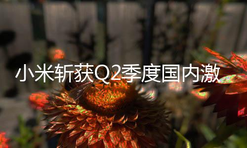 与小米的内激差距不到40万台