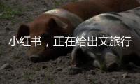 小红书，正在给出文旅行业增长新解答