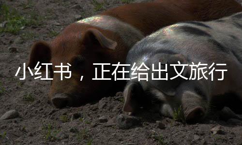 较2019年同期增长了4.1%