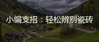小编支招：轻松辨别瓷砖的品质