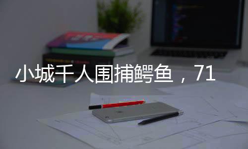 一辆皮卡车从夜色里驶来