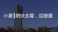 小暑┃晒伏去霉，迎接盛夏