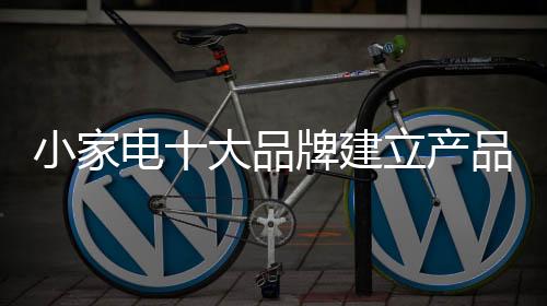 对于小家电十大品牌而言