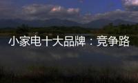 小家电十大品牌	
：竞争路上 创新先行