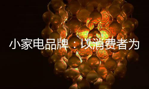 小家电企业要以消费者为核心