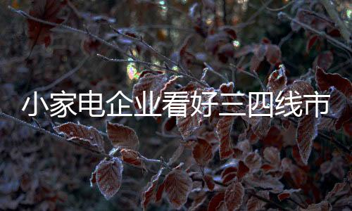 且外资品牌难以渗透