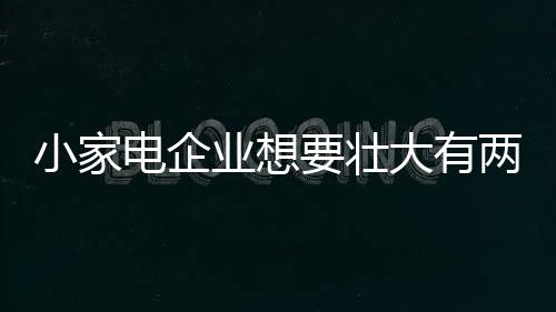 或立足自身领域扩大规模