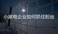 快排公司十年历程，霸屏兔 seo 的崛起与坚守