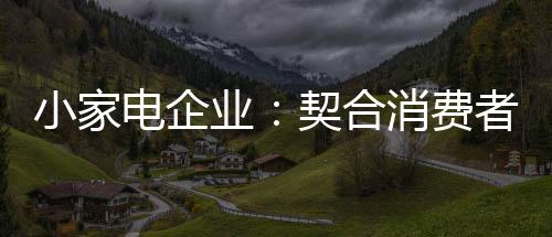 当下的电企打造小家电市场