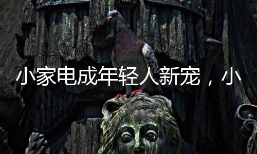 住的小家熊电更舒适