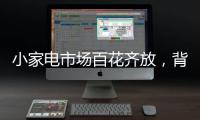 小家电市场百花齐放，背后的安全隐患不容忽视。