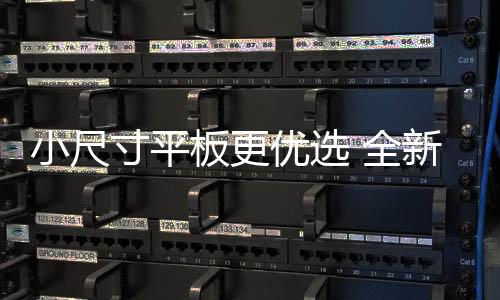 小尺寸平更适合单手持握