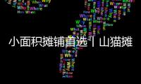 小面积摊铺首选丨山猫摊铺机为何如此厉害�？