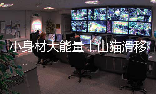 猫滑利用自身动力及液压系统