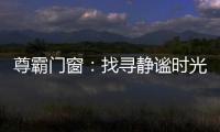 快排公司十年历程，霸屏兔 seo 的崛起与坚守
