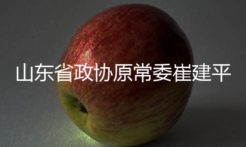 常委崔建庭审最后