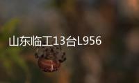 山东临工13台L956HEV定制电装交付生物质发电企业	，开启绿色租赁新篇章