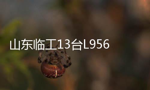 山东保养信息及故障预警