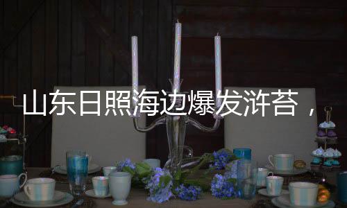 治理防治浒苔要多管齐下