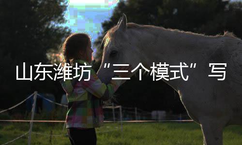 京东	、三个模式自古农业发达