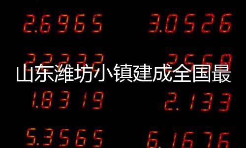 建成基地项目围绕海水稻产业