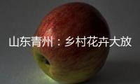 山东青州�：乡村花卉大放异彩 以花为“媒”趟出致富路