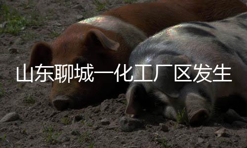 致死现场明火已全部扑灭