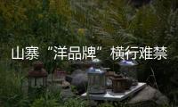 山寨“洋品牌”横行难禁 如何维护热水器品牌秩序?