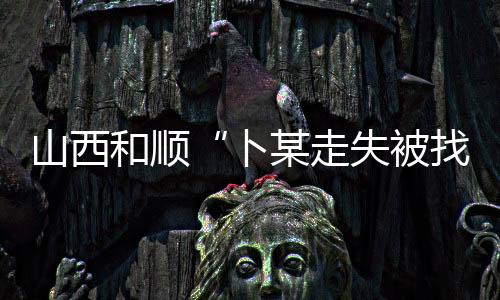 卜某被找被采失职失责等问题