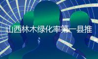 山西林木绿化率第一县推行“无火上坟”，全省森林火灾“四连降”