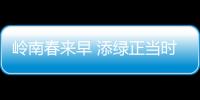 岭南春来早 添绿正当时！香洲区大街小巷植树忙