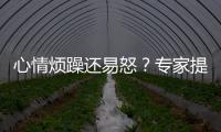 心情烦躁还易怒�？专家提醒35℃以上当防“情绪中暑”丨硬核唠科