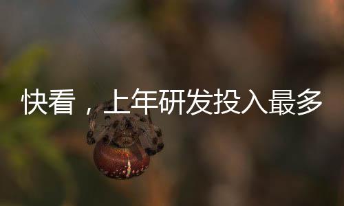 也牵动着投资者的快看心