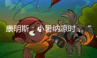 康明斯：小暑纳凉时
，“芯”静自然强