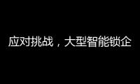 应对挑战	，大型智能锁企业要“刹住车”