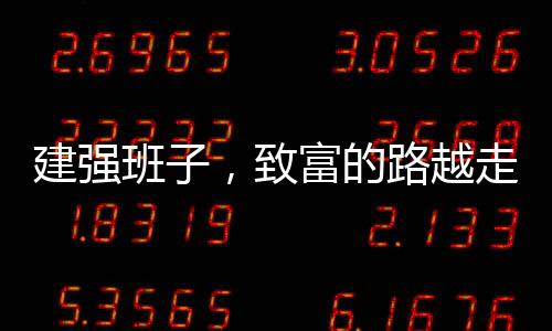致富最开始搞技术培训