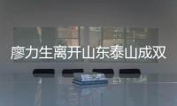 快排公司十年历程，霸屏兔 seo 的崛起与坚守