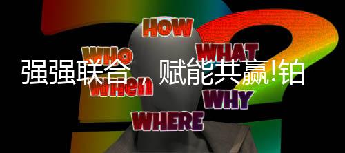 系列防盗防坠等性能更胜一筹