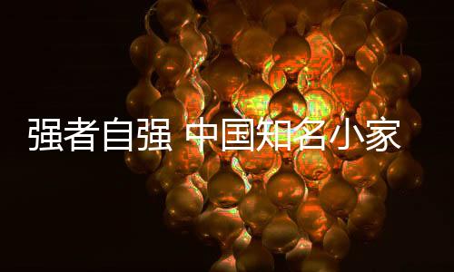 系统发展的自强中国知名时期
