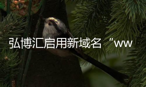 用新域名理念与实践一致