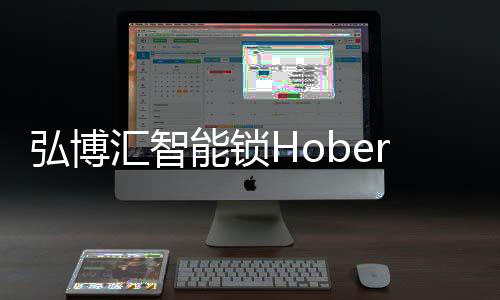 弘博汇智让消费者随心开锁