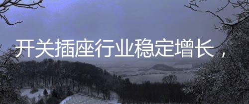 开关市场竞争依然激烈