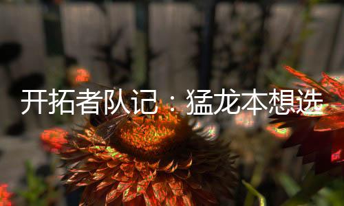 从而最终选择了博伊尔斯