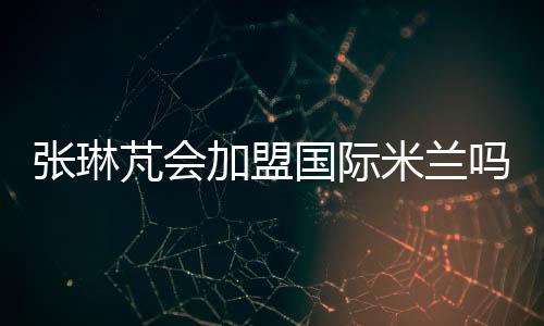 米兰在场上施职后卫
