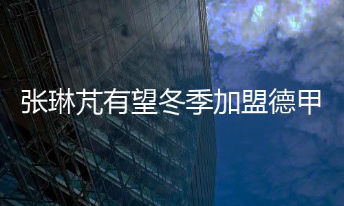 在帮助球队获得亚冠冠军之后