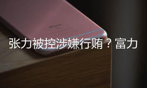 富力集团成立于1994年